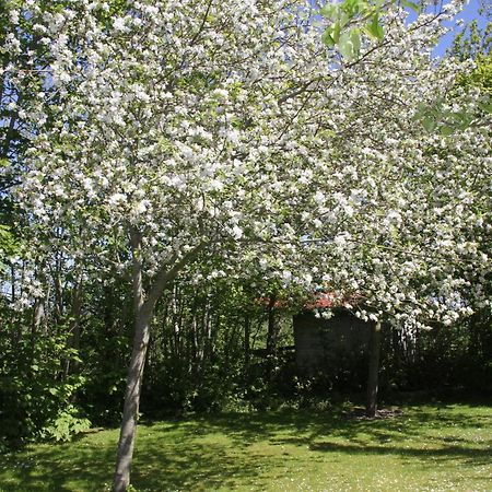 Countryside Eco Natuurhuisjes Ee Eksteriør bilde