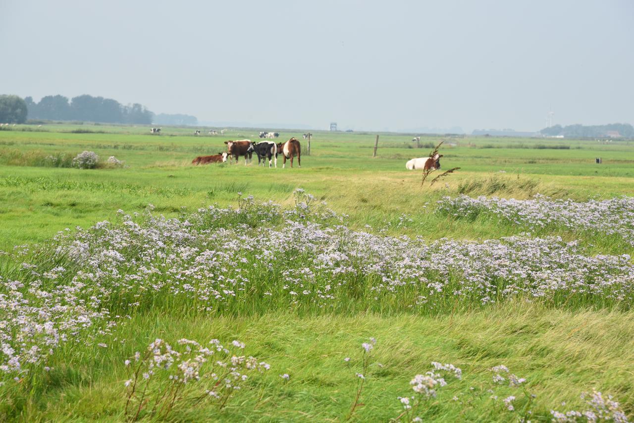 Countryside Eco Natuurhuisjes Ee Eksteriør bilde