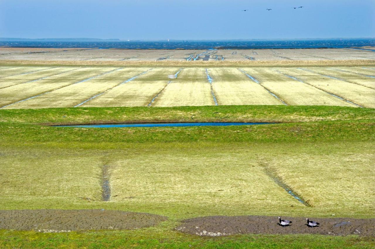 Countryside Eco Natuurhuisjes Ee Eksteriør bilde