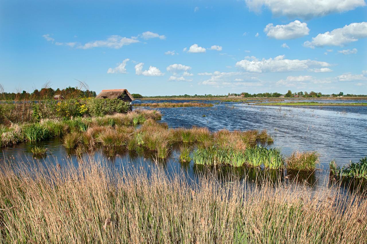 Countryside Eco Natuurhuisjes Ee Eksteriør bilde