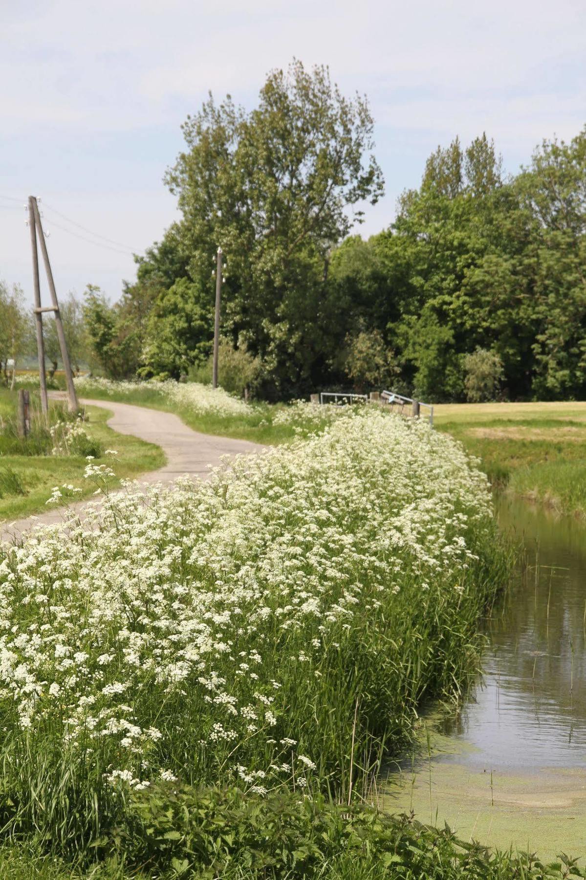 Countryside Eco Natuurhuisjes Ee Eksteriør bilde